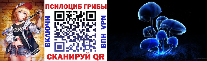 MEGA как войти  Янаул  Псилоцибиновые грибы мухоморы 